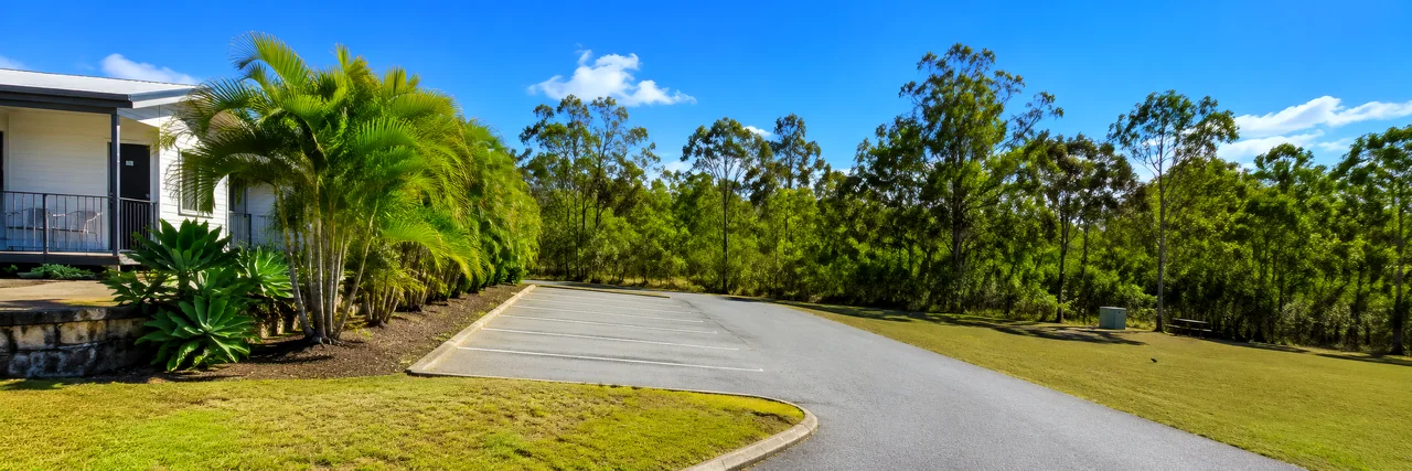 Driveway & palms